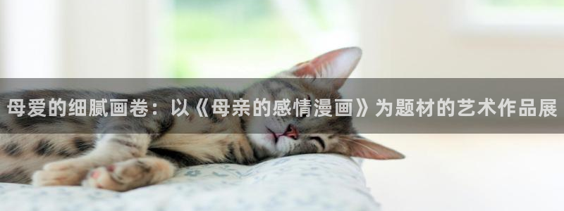 贝勒漫画怎么下载：母爱的细腻画卷：以《母亲的感情漫画》为题材的艺术作品展